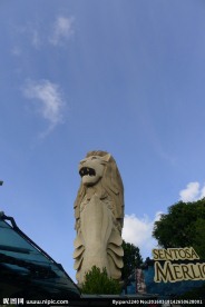 新加坡风光