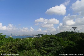 新加坡滨海植物园