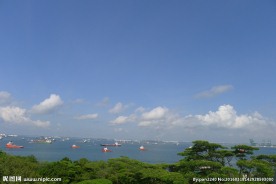 新加坡滨海植物园