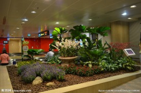 新加坡滨海植物园