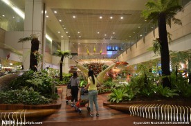 新加坡滨海植物园