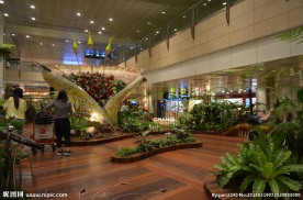 新加坡滨海植物园