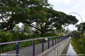 新加坡滨海植物园