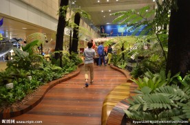 新加坡滨海植物园