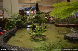 新加坡滨海植物园