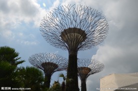 新加坡滨海植物园