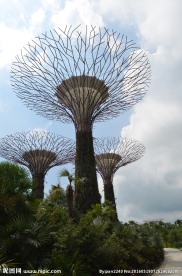 新加坡滨海植物园