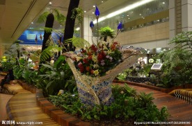 新加坡滨海植物园