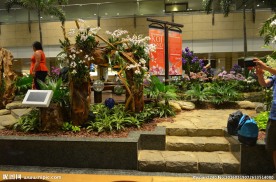 新加坡滨海植物园