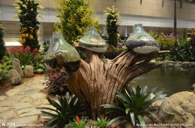 新加坡滨海植物园