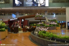 新加坡滨海植物园