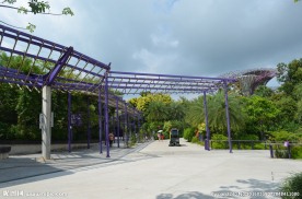 新加坡滨海植物园