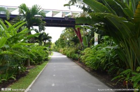 新加坡滨海植物园