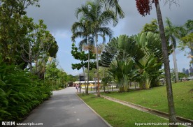 新加坡滨海植物园