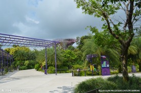 新加坡滨海植物园