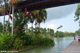 新加坡滨海植物园