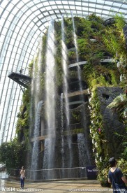 新加坡滨海植物园