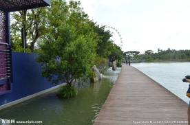 新加坡滨海植物园