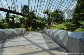 新加坡滨海植物园