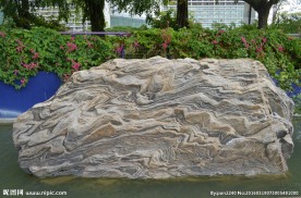 新加坡滨海植物园