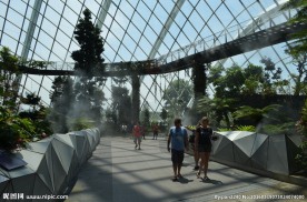 新加坡滨海植物园