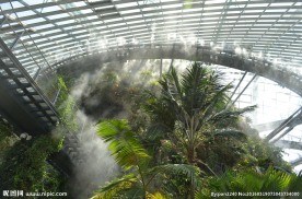 新加坡滨海植物园