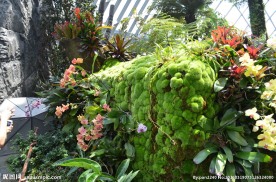 新加坡滨海植物园