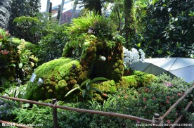 新加坡滨海植物园