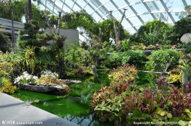 新加坡滨海植物园