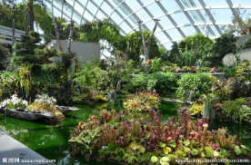 新加坡滨海植物园
