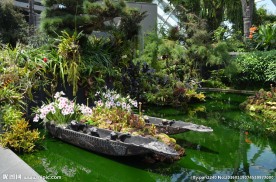 新加坡滨海植物园