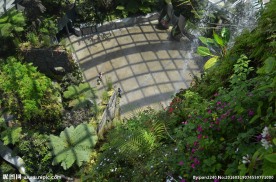 新加坡滨海植物园