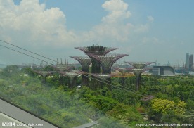 新加坡滨海植物园