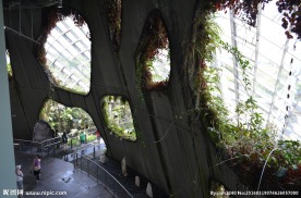 新加坡滨海植物园