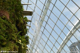 新加坡滨海植物园