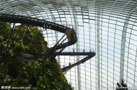 新加坡滨海植物园