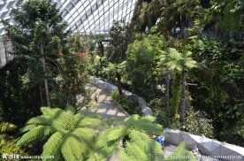 新加坡滨海植物园