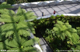 新加坡滨海植物园