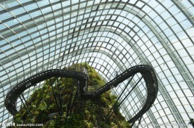 新加坡滨海植物园