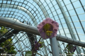 新加坡滨海植物园