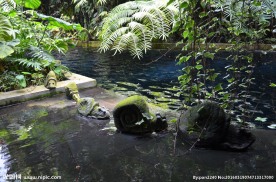 新加坡滨海植物园