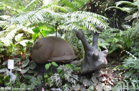 新加坡滨海植物园