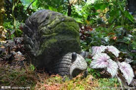 新加坡滨海植物园