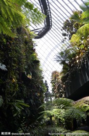 新加坡滨海植物园