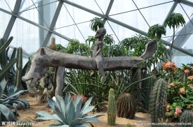 新加坡滨海植物园