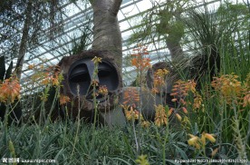 新加坡滨海植物园