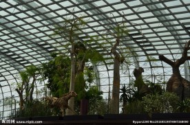 新加坡滨海植物园