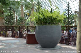 新加坡滨海植物园