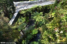 新加坡滨海植物园