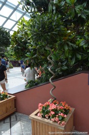 新加坡滨海植物园